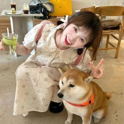 女警爱作战粤语